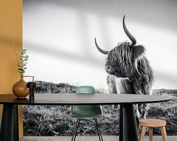 Scottish Highlander on the isle of Texel - the Netherlands, stefan witte by Stefan Witte