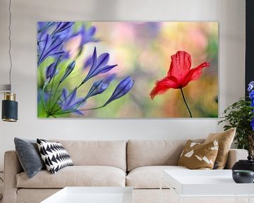 Blue flowers with red poppy by Corinne Welp