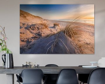 In the dunes of Texel by Ton Drijfhamer