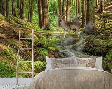 Bos met bergbeekje en een hert van Animaflora PicsStock