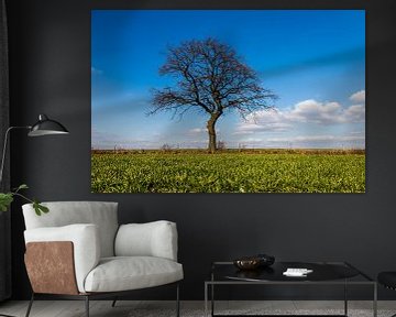 Green meadow with a tree on the horizon in spring in Mechelen, Limburg by Kim Willems