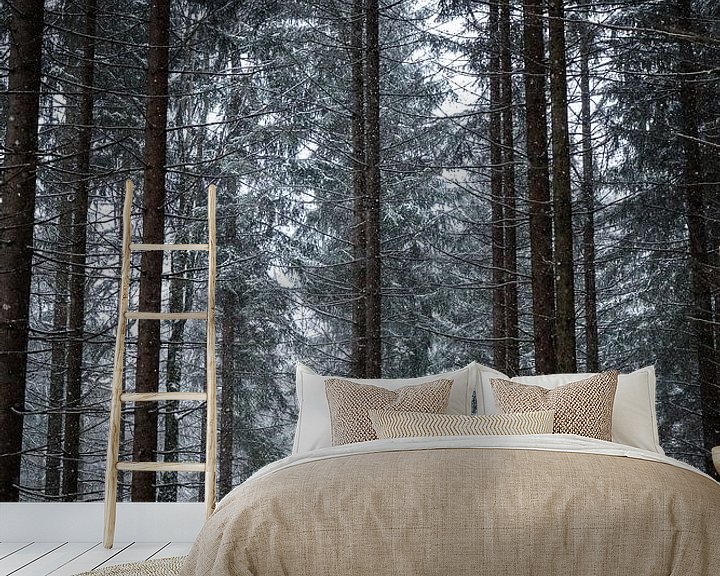Sfeerimpressie behang: Alpsee | Winter in de Alpen van Nanda van der Eijk