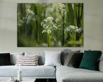 groen-witte waterkant