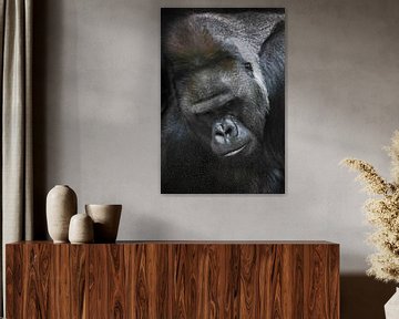 Portret van een witte krachtige mannelijke gorilla, een grimmige bedachtzame close-up van Michael Semenov