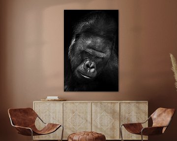 Zwart-wit contrastfoto van de snuit van de dominante mannelijke gorilla van Michael Semenov