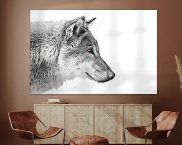 Zwart-wit met gekleurde ogen, een blik op de verte Split een wolf van mannetje in profiel op een wit van Michael Semenov