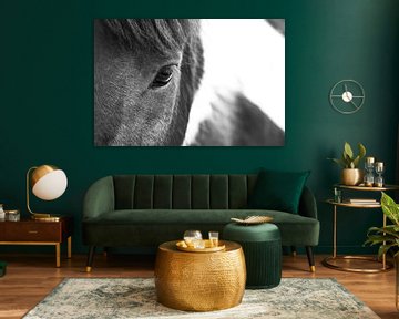 Ontroerende en peinzende paardenlook close-up zwart-wit foto met mooie pony. van Michael Semenov