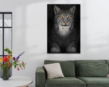Lynx kat in het donker met oranje gloeiende ogen, verkleurde foto op zwarte achtergrond van Michael Semenov