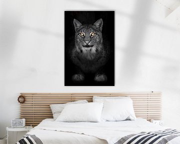 Lynx in the night full face look calm cat with orange eyes and a discolored black and white body on  by Michael Semenov