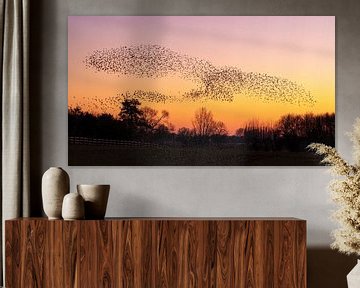Starling swarm by Karin de Jonge