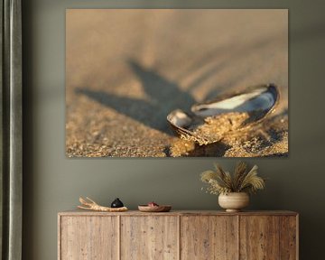 Muschel am Strand der Opalküste von Astrid Brouwers