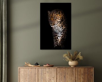 Leopard mit bläulich grün leuchtenden Augen selbstbewusst und plötzlich aus der Dunkelheit der Nacht von Michael Semenov