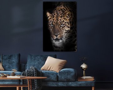 Ernstige snuit van een luipaard half gedraaid kijkt naar je close-up vanuit de nacht duisternis, zwa van Michael Semenov