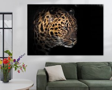 Museau d'un léopard d'Extrême-Orient de profil dans l'obscurité, isolé sur fond noir sur Michael Semenov