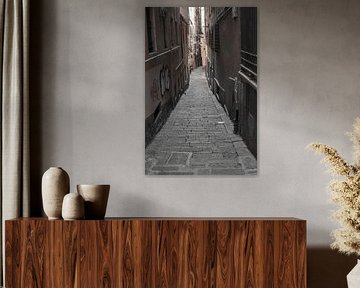 The atmosphere of Genoa