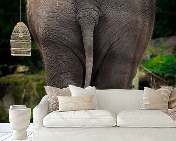 Big and small by Evert Buitendijk