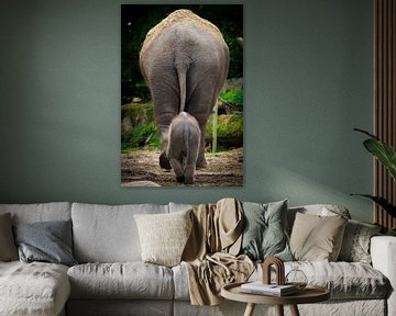 Großer und kleiner Elefant von Evert Buitendijk
