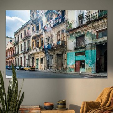 Buntes Havanna, bunt 4