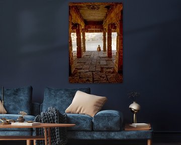Monnik in tempel - India reisfotografie print