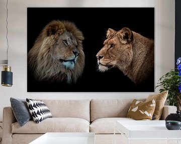 Leeuw en leeuwin portret in kleur van Marjolein van Middelkoop