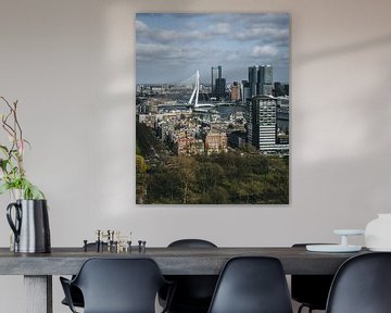 Uitzicht op de Erasmusbrug en Kop van Zuid van MAT Fotografie