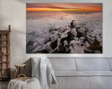 ice on the rocks 2