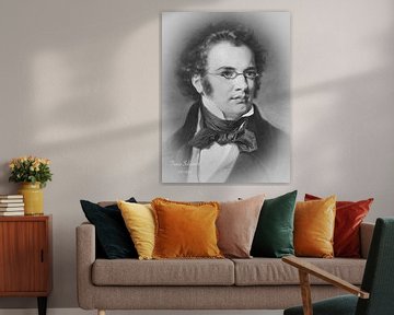 Franz Schubert van Hans Levendig (lev&dig fotografie)