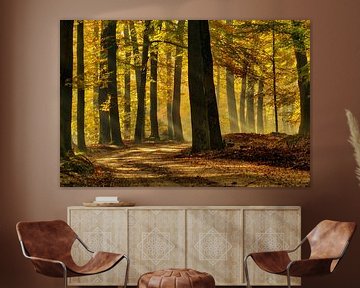 Sun harps in autumn forest by Gerrit Kosters