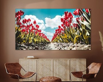 Tulipfield von Pim Haring
