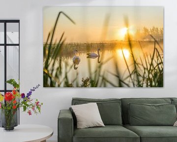 Zonsopkomst met zwanen in de sloot van Rossum-Fotografie