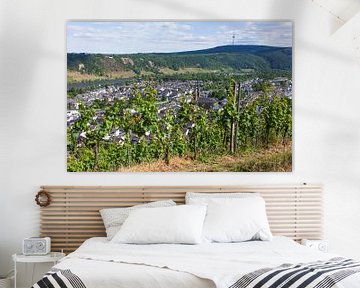 Güls district on the Moselle, Koblenz, Rhineland-Palatinate, Germany, Europe by Torsten Krüger