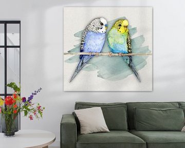 Two cute budgies watercolor