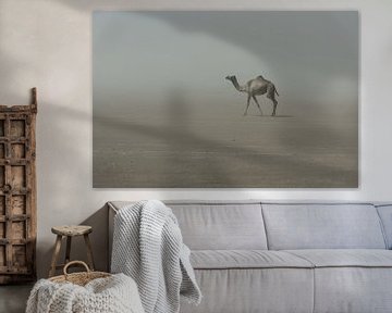 Eenzame kameel in de woestijn in Afrika | Ethiopië van Photolovers reisfotografie