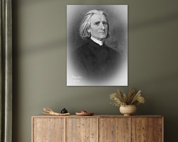 Franz Liszt van Hans Levendig (lev&dig fotografie)