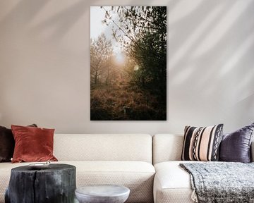Zonsondergang in een mistig bos | natuurfotografie reisfotografie foto print | Tumbleweed & Fire van Eva Krebbers | Tumbleweed & Fireflies Photography