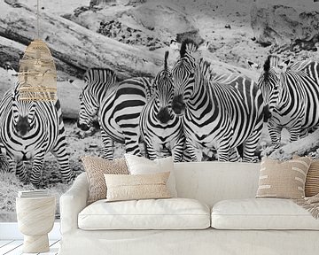Zebra groep van Martine Moens