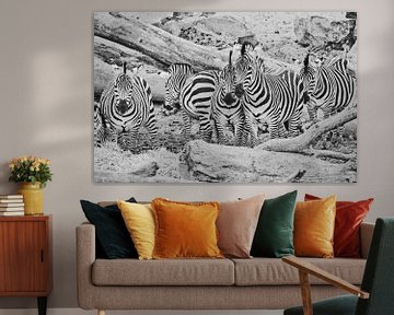 Zebra group by Martine Moens