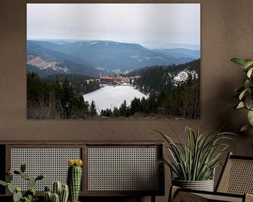Panoramisch uitzicht op de Mummelsee in het Zwarte Woud van creativcontent