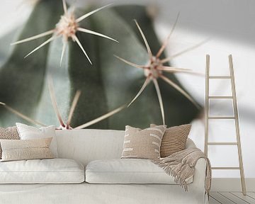 Kaktus von Sandra Hogenes