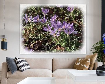 Krokussen in aquarel look