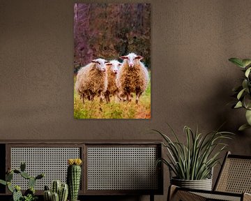 Hoog Buurlo and the sheep. by Frans Van der Kuil