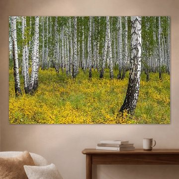 Birch forest in Siberia