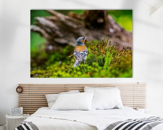 Aperçu de la chambre