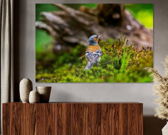 Aperçu de la chambre