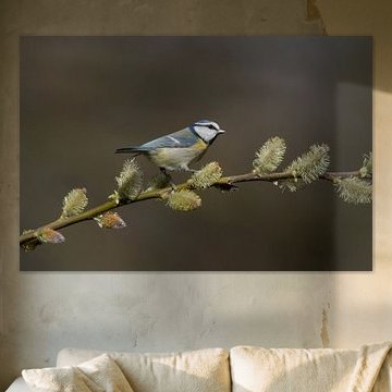 Auf der Jagd in der Blüte