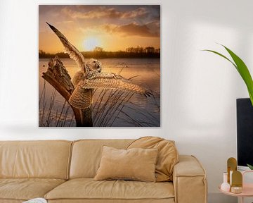 An eagle owl with spread wings on a tree trunk during the golden sunrise