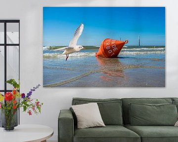 Mouette avec bouée d'eau en mer du Nord sur Animaflora PicsStock