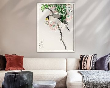 Japanese Masked Hawfinch and Silk Tree illustration by Numata Kashu