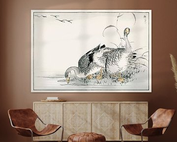 Illustration d'une oie blanche par Numata Kashu sur Studio POPPY