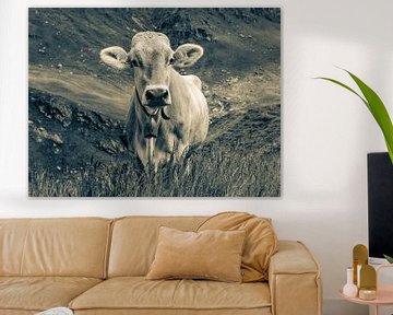 Vache sur l'alpage en Suisse - Monochrome sur Werner Dieterich
